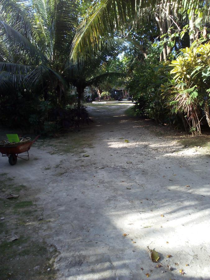 John Lhea Beach Cottages Siquijor Bagian luar foto