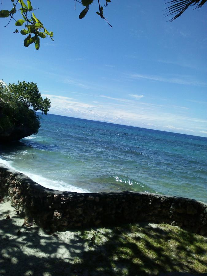 John Lhea Beach Cottages Siquijor Bagian luar foto