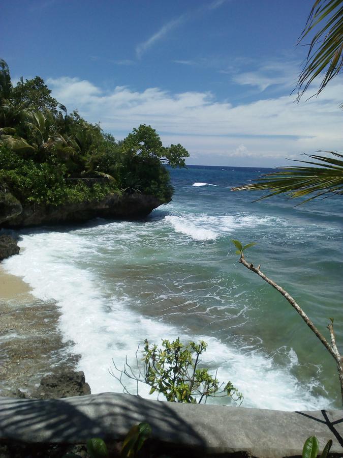 John Lhea Beach Cottages Siquijor Bagian luar foto